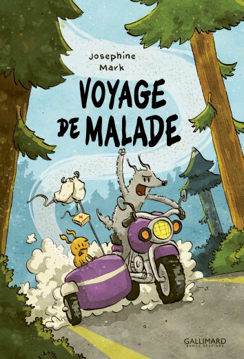 Voyage de malade