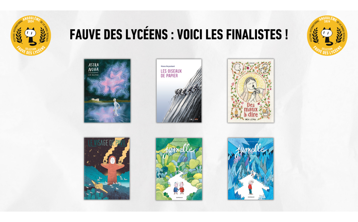 FACEBOOK FINALISTES FAUVES LYCEENS