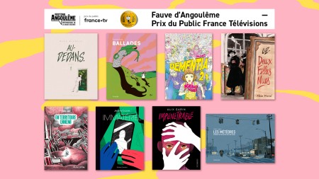 FIBD — VISU FRANCE TV — FB